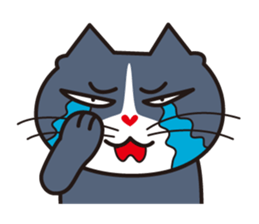 Three close cats sticker #4386022