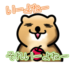 Full Nyun Quokka sticker #4387761