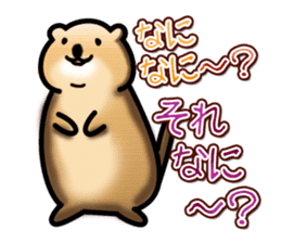 Full Nyun Quokka sticker #4387762