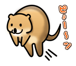 Full Nyun Quokka sticker #4387777