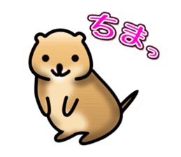 Full Nyun Quokka sticker #4387780