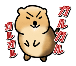 Full Nyun Quokka sticker #4387781
