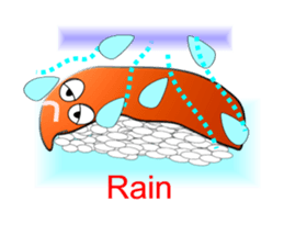 McGraw of the sushi sticker #4390820