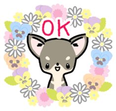 Kawaii Chihuahua2(English) sticker #4391006