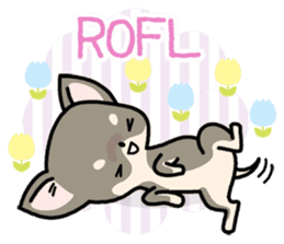 Kawaii Chihuahua2(English) sticker #4391013