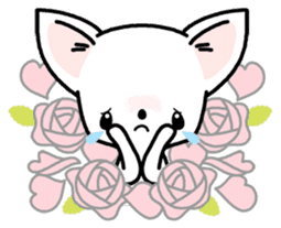 Kawaii Chihuahua2(English) sticker #4391015