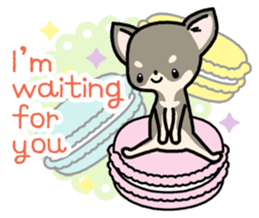 Kawaii Chihuahua2(English) sticker #4391019