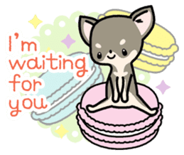 Kawaii Chihuahua2(English) sticker #4391019