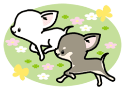 Kawaii Chihuahua2(English) sticker #4391033