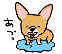 corgi expression sticker #4391442