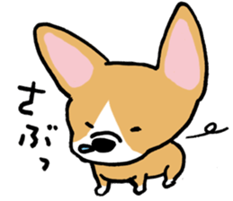 corgi expression sticker #4391443