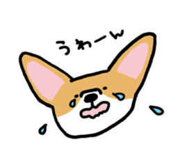 corgi expression sticker #4391445