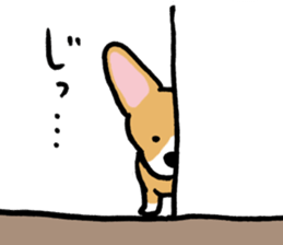 corgi expression sticker #4391446