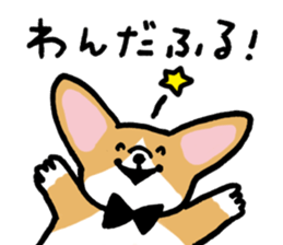 corgi expression sticker #4391447