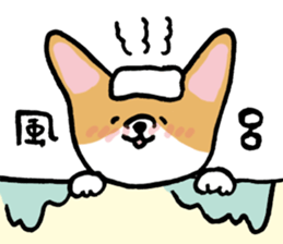 corgi expression sticker #4391448