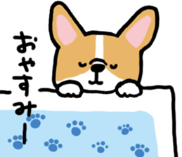 corgi expression sticker #4391449