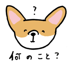 corgi expression sticker #4391450