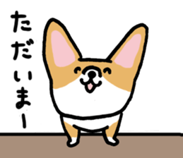 corgi expression sticker #4391451