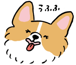 corgi expression sticker #4391452