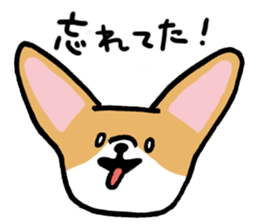 corgi expression sticker #4391453