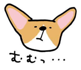 corgi expression sticker #4391456
