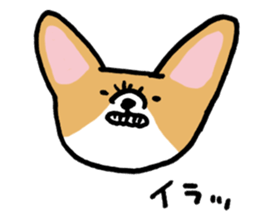 corgi expression sticker #4391457