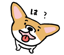 corgi expression sticker #4391458