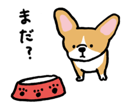 corgi expression sticker #4391459