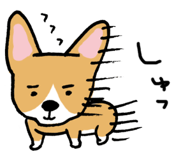 corgi expression sticker #4391460