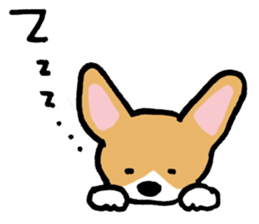 corgi expression sticker #4391461
