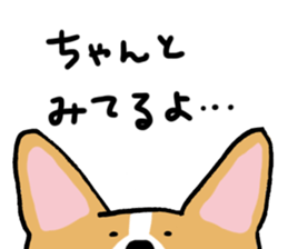 corgi expression sticker #4391466