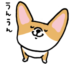 corgi expression sticker #4391467