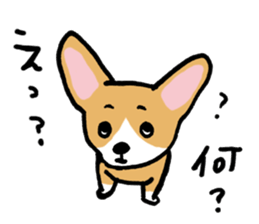 corgi expression sticker #4391468