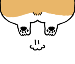 corgi expression sticker #4391470