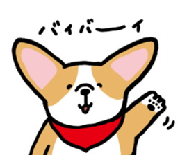 corgi expression sticker #4391471