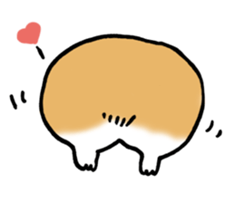 corgi expression sticker #4391472
