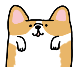 corgi expression sticker #4391475