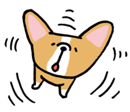 corgi expression sticker #4391477