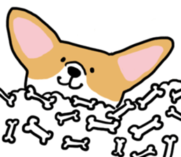 corgi expression sticker #4391478