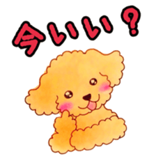 Toypoodle MELL sticker #4394619