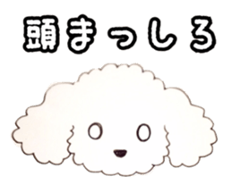Toypoodle MELL sticker #4394627