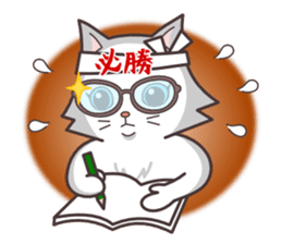 cute cat small snow(cool conversation) sticker #4395047