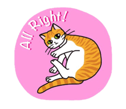 "OK" Cats(English ver.) sticker #4395166