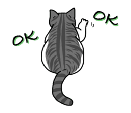 "OK" Cats(English ver.) sticker #4395168