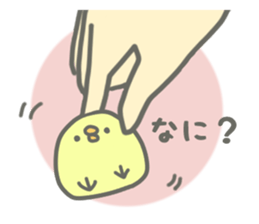 Chick and chicken sticker #4396917