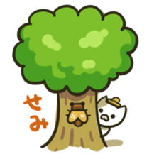 summer cat sticker #4397571