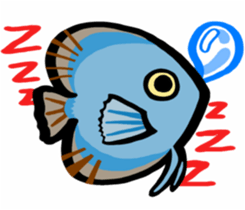 In the aquarium<Young Discus> sticker #4398095