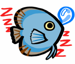 In the aquarium<Young Discus> sticker #4398095