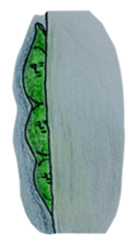 Edamame Sticker sticker #4400947