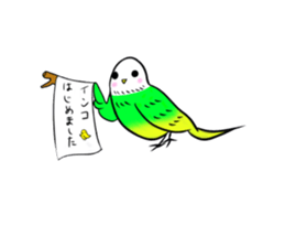 A lovely and interesting parrot. sticker #4400952